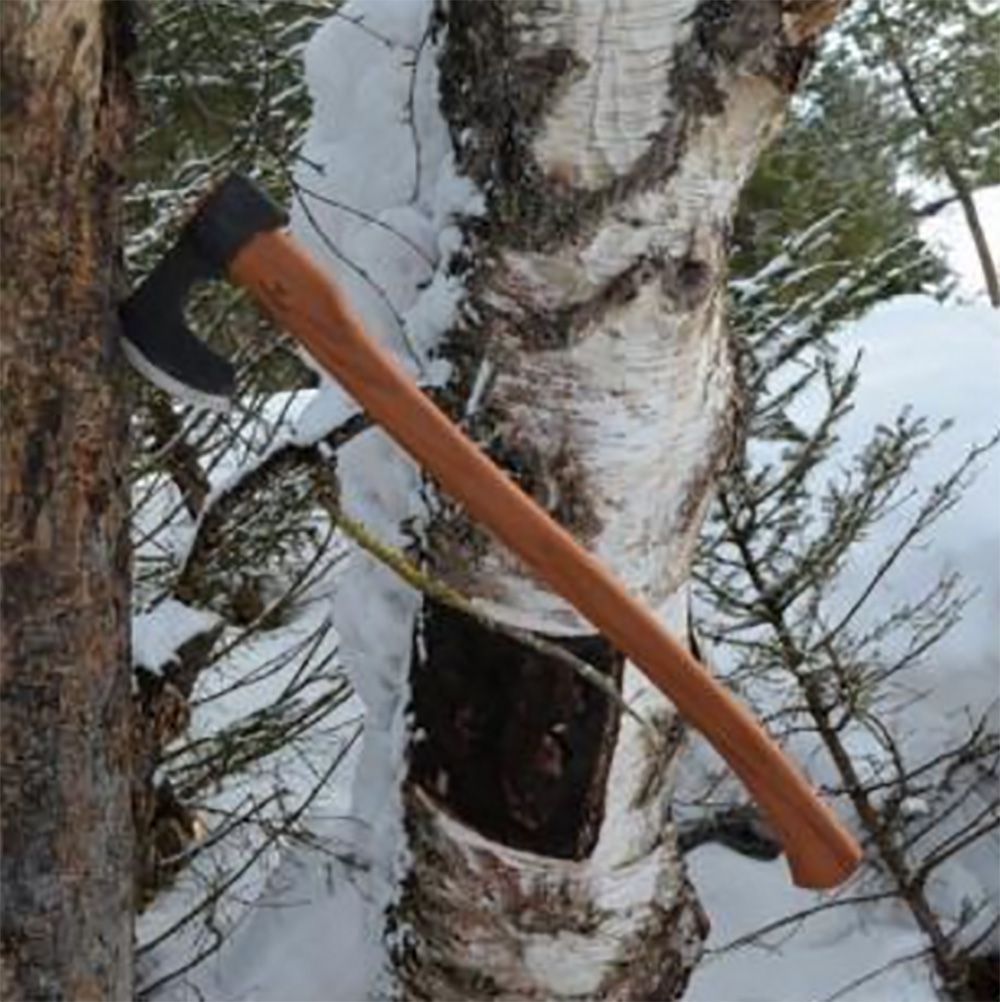 Топор Toporsib Рысь, длина 750мм, лезвие 130мм, 1.6кг, ударный закаленный обух, с чехлом Топор Toporsib Рысь, длина 750мм, лезвие 130мм, 1.6кг, ударный закаленный обух, с чехлом