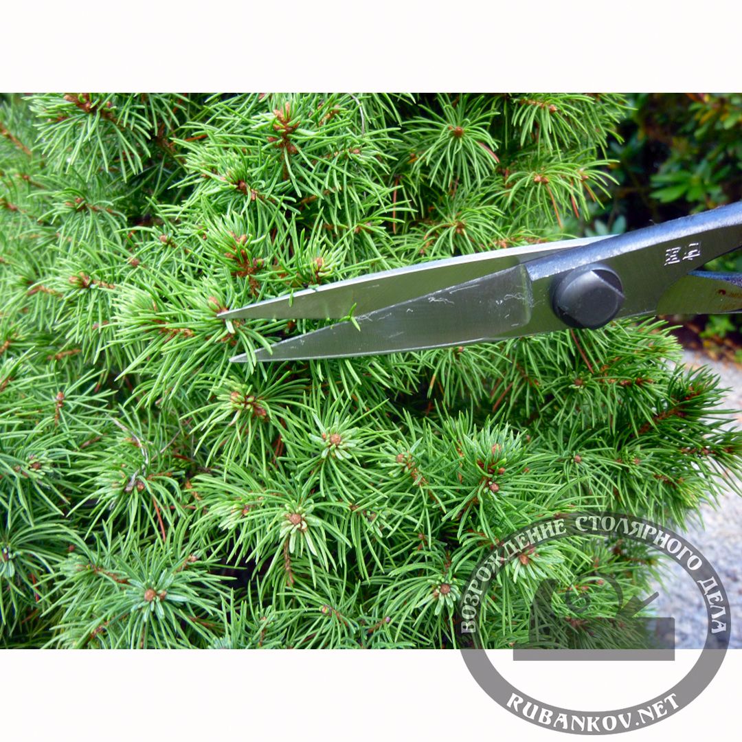  Okatsune 206  , 220/55 .