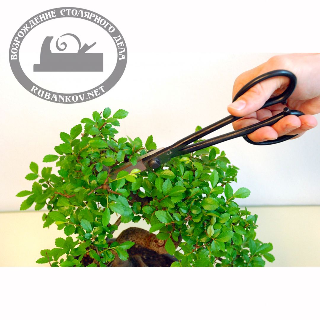  Okatsune 206  , 220/55 .