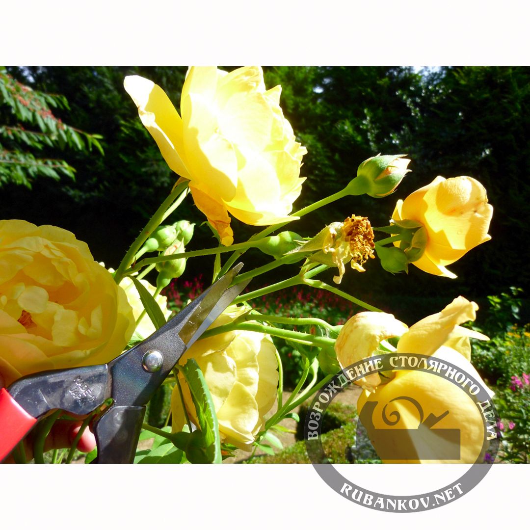     ,   , Okatsune-304, 45/190