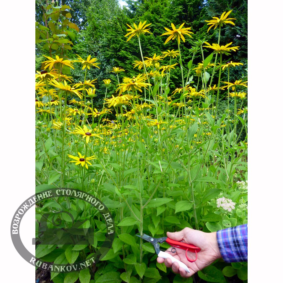     ,   , Okatsune-304, 45/190