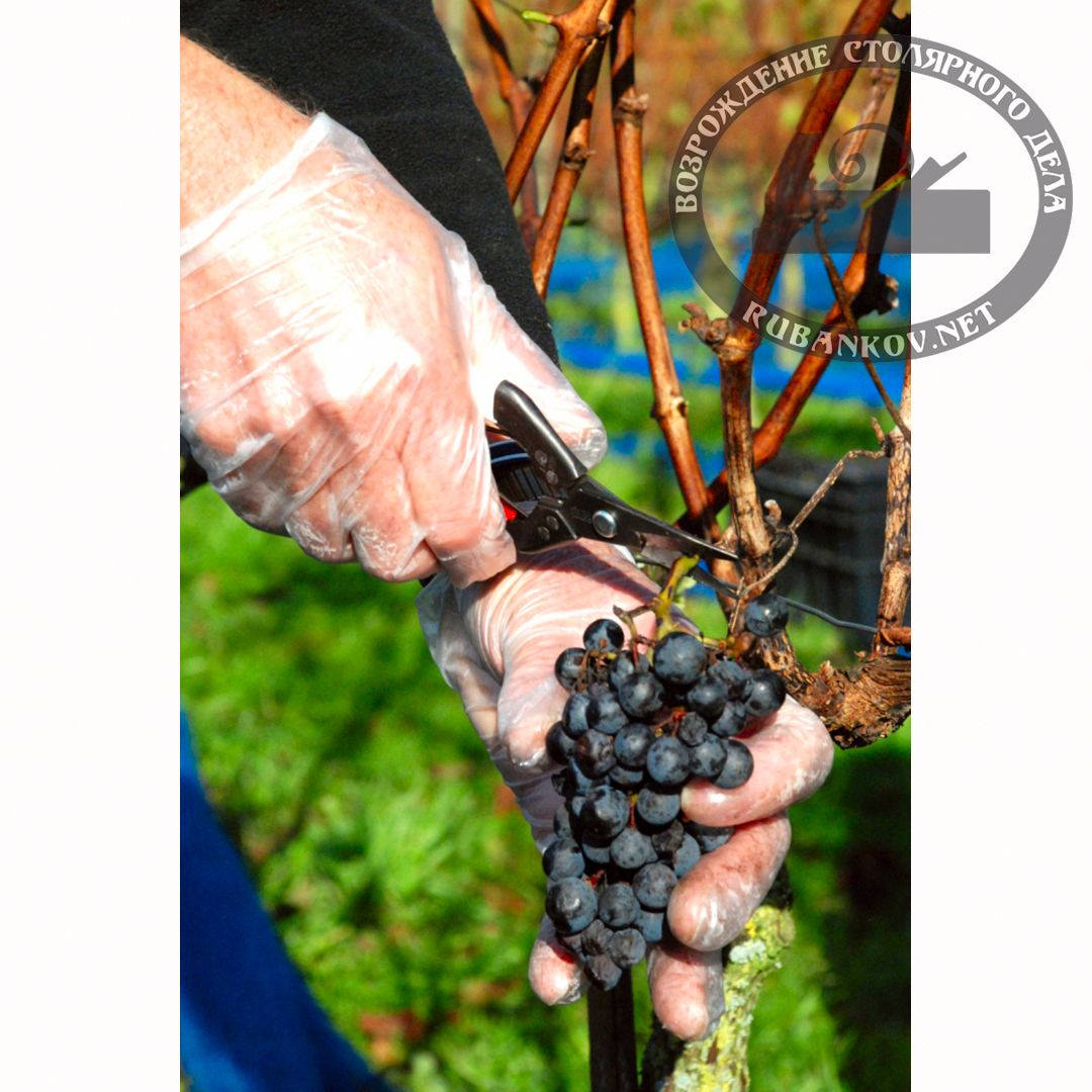     , ,  Okatsune-307, 35/180