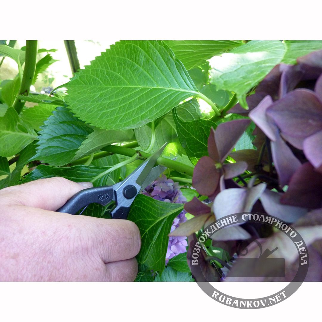   , Okatsune-207, 45/190