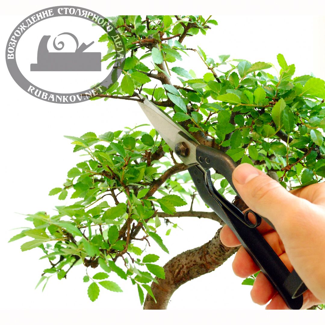   , Okatsune-207, 45/190