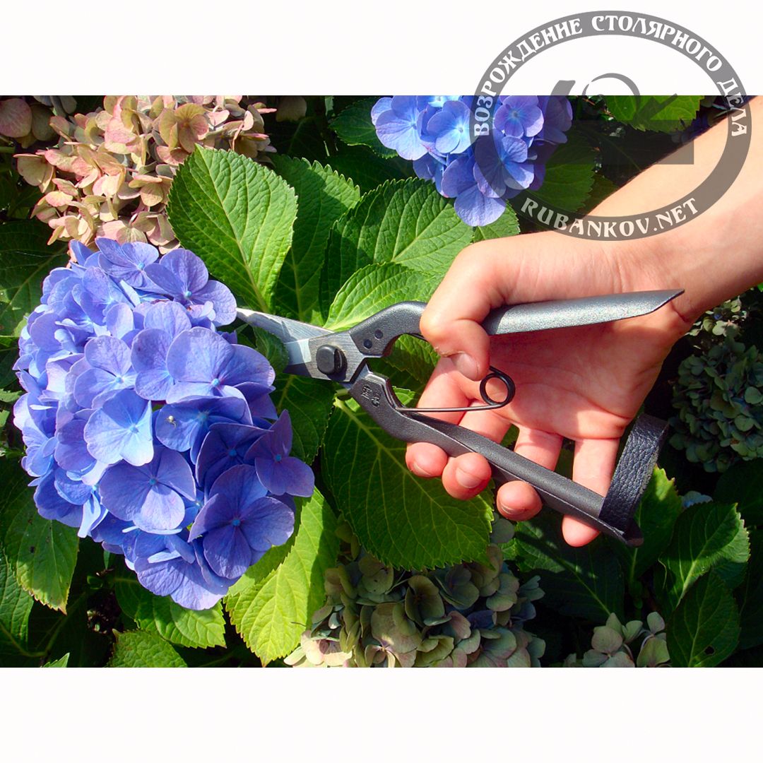   , Okatsune-207, 45/190