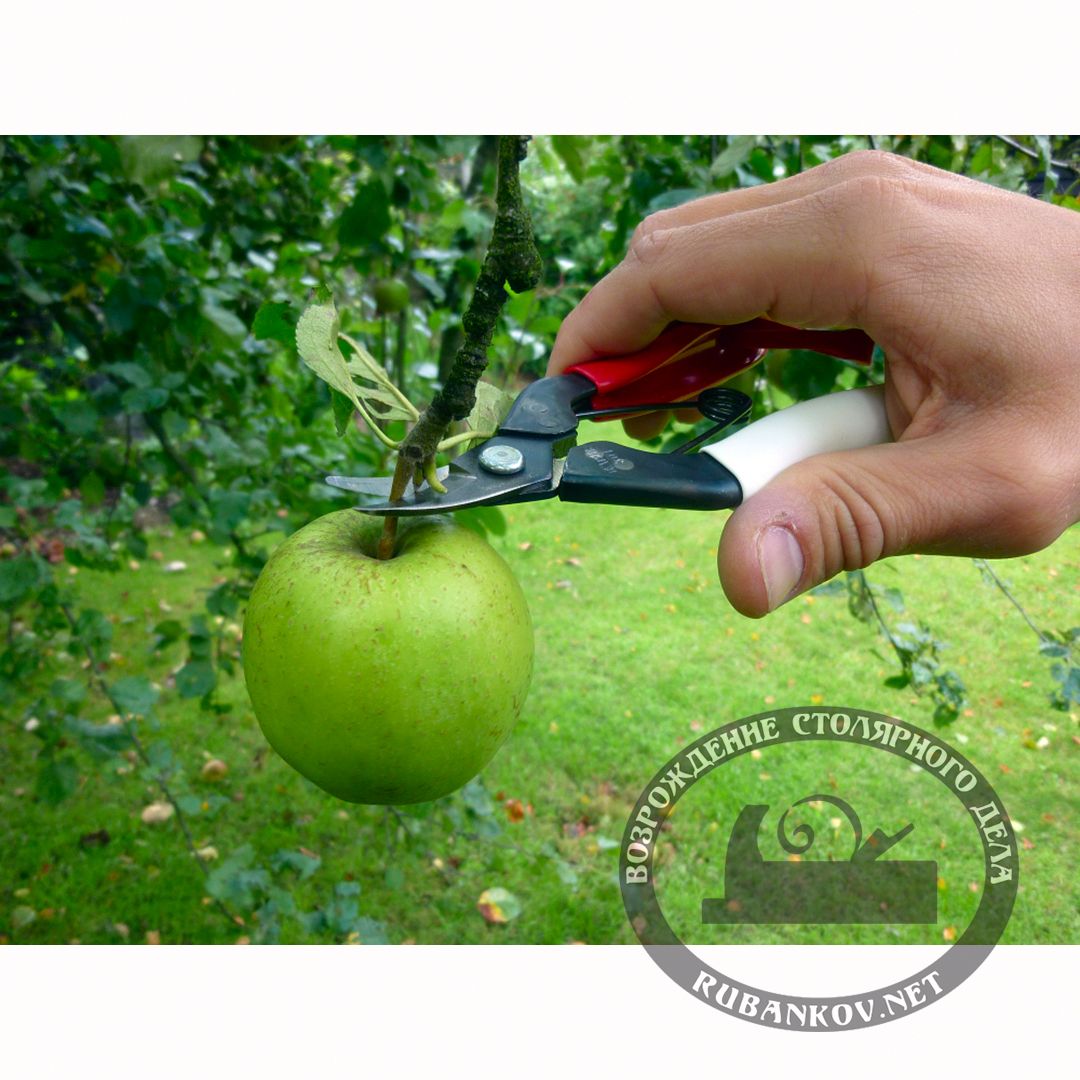      , Okatsune-301, 25/160