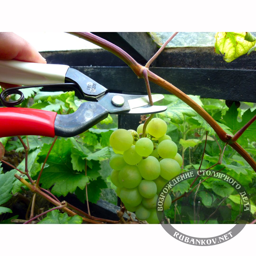      , Okatsune-301, 25/160