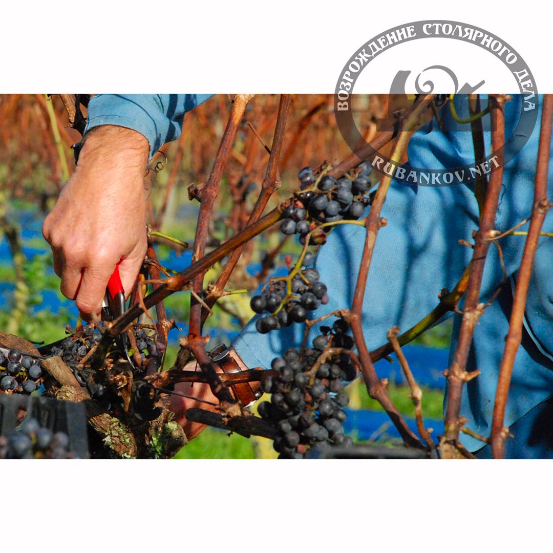      , Okatsune-301, 25/160