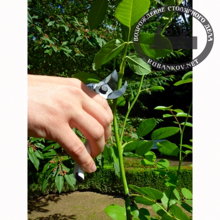 Секаторы Okatsune 101, 102, 103 Секаторы Okatsune 101, 102, 103