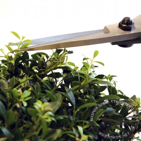  Okatsune 201  , 210/55 .