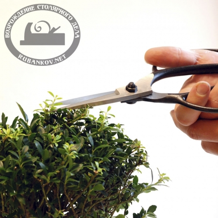  Okatsune 201  , 210/55 .