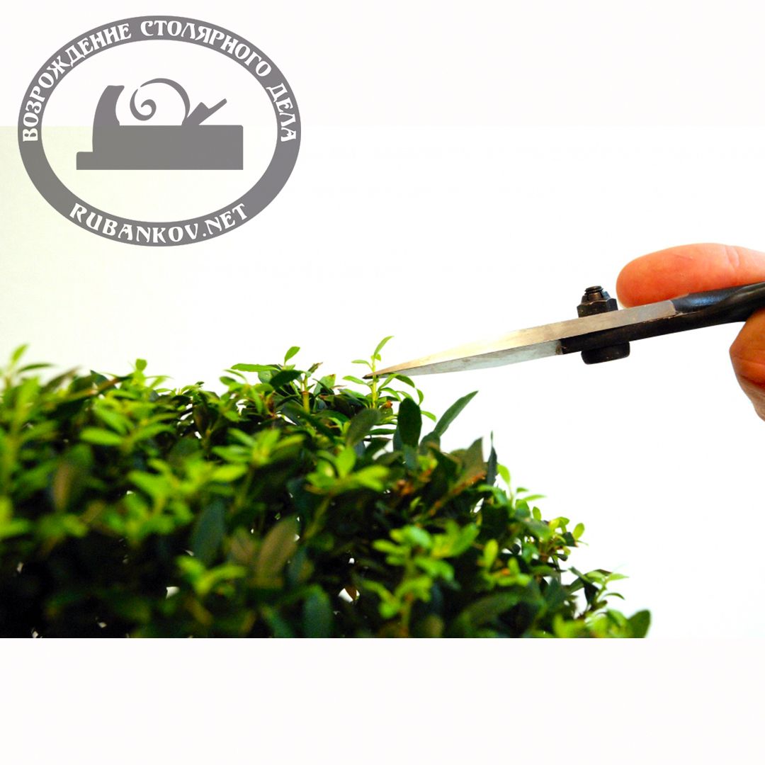  Okatsune 203  , 210/55 .