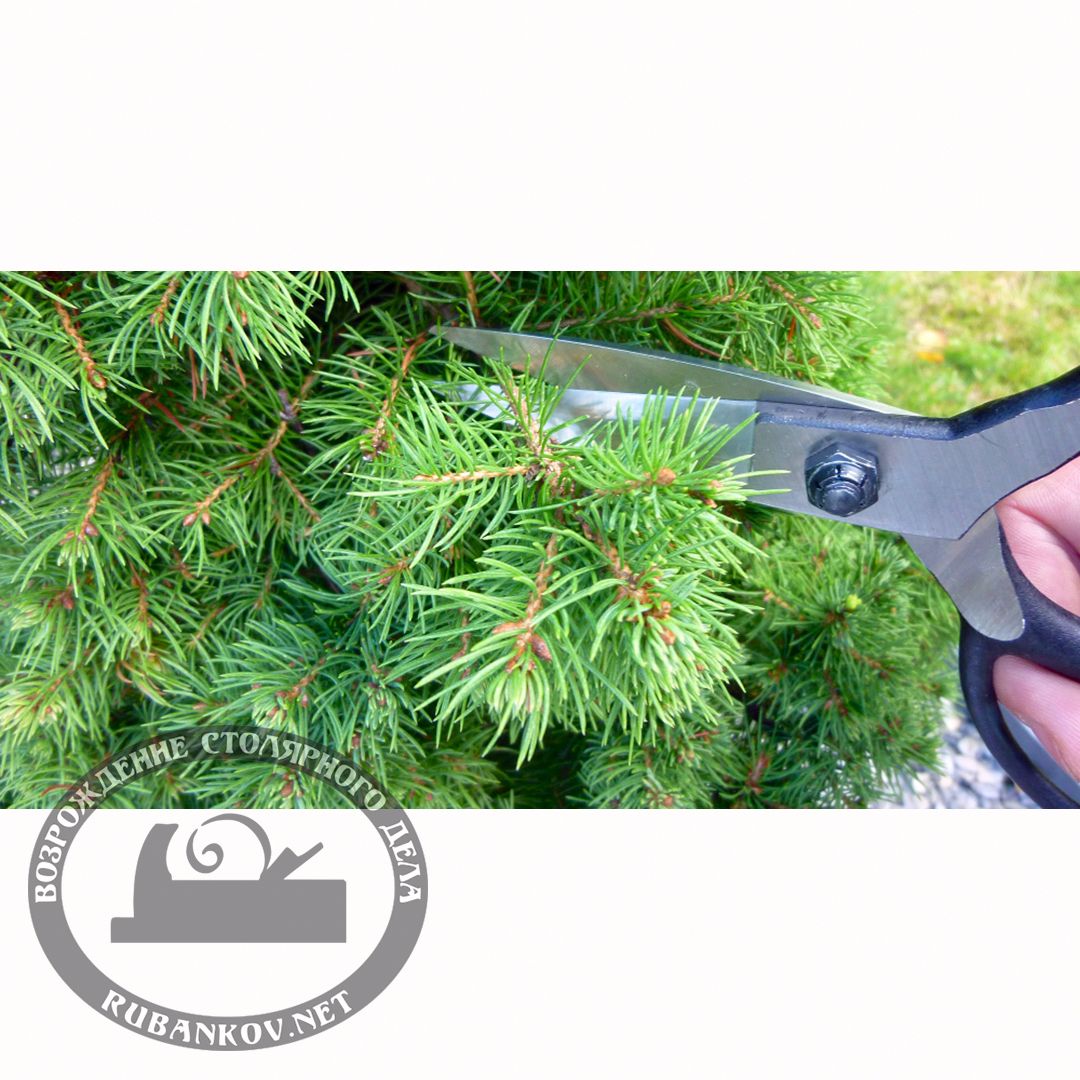  Okatsune 203  , 210/55 .