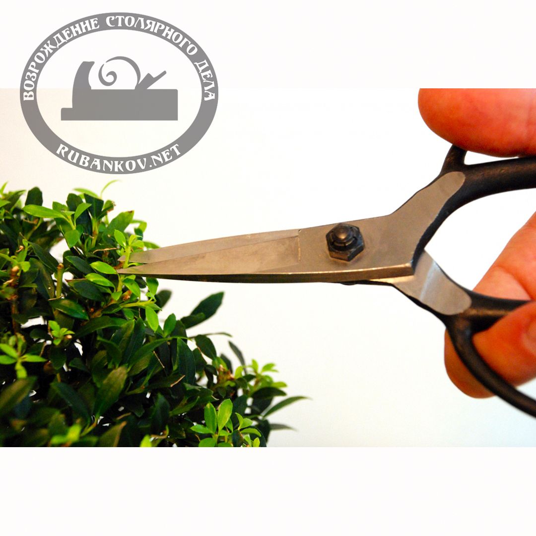  Okatsune 203  , 210/55 .