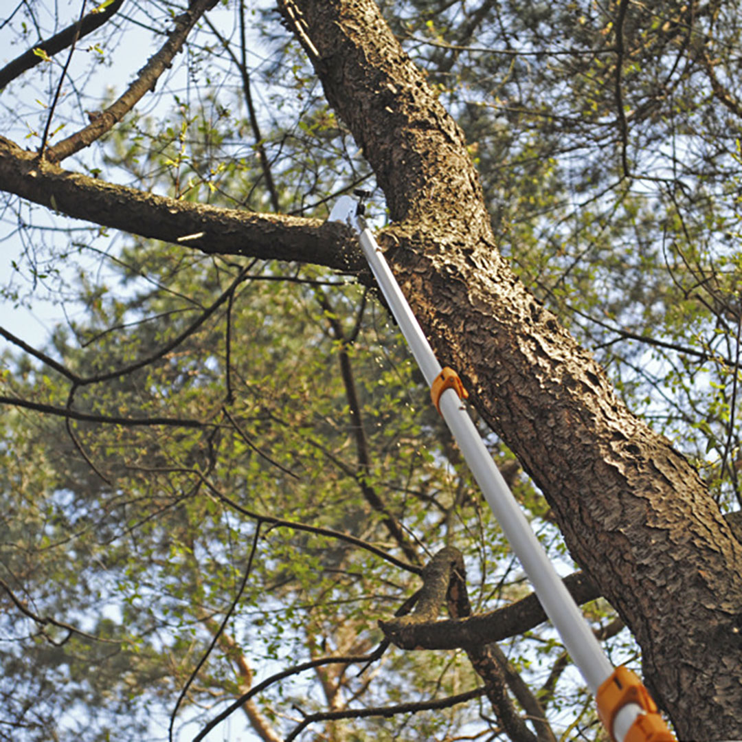  Silky Longboy  3600, 2 , . 1450 - 3600,  360, 7.5/30