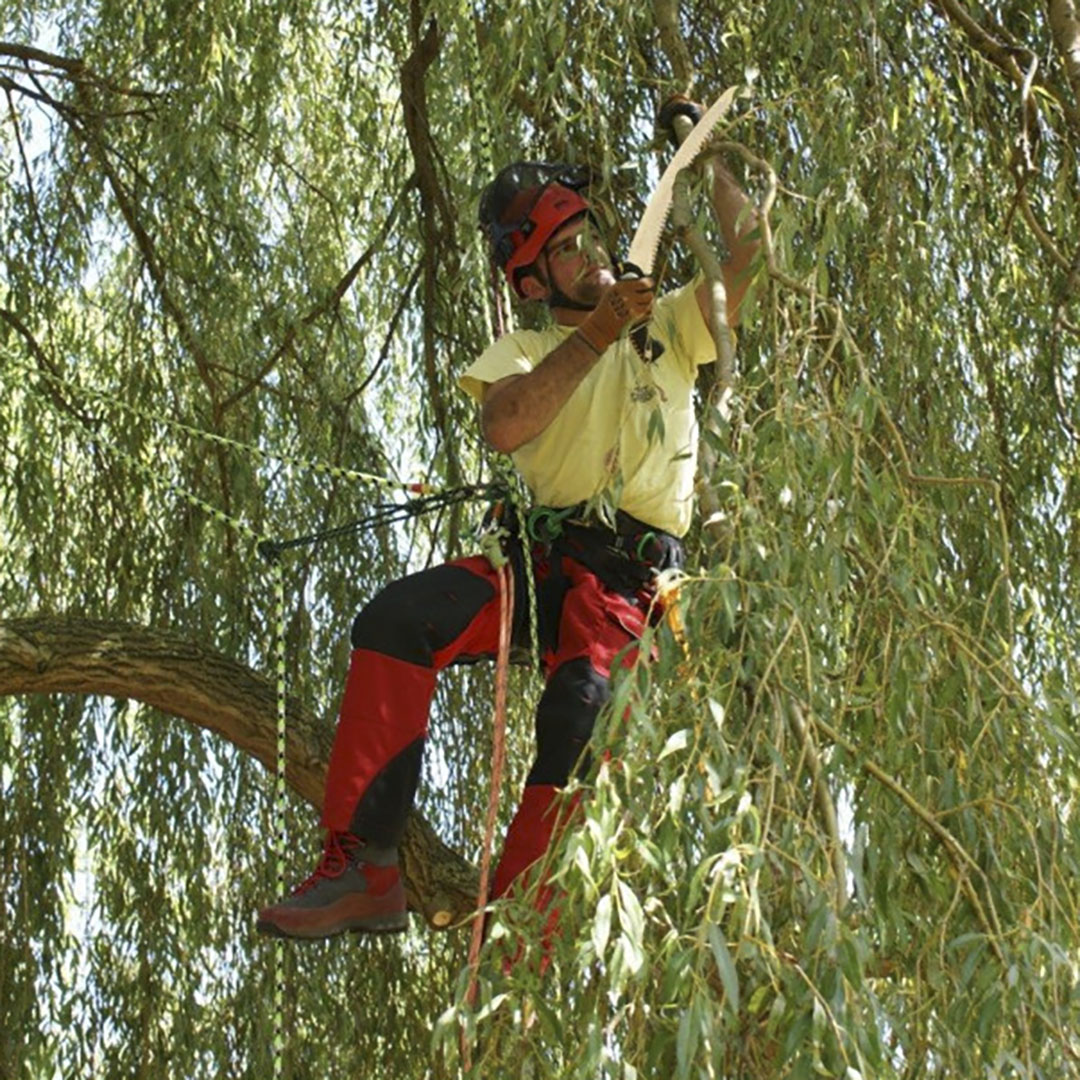  Silky Sugoi 420, 6.5/30,  