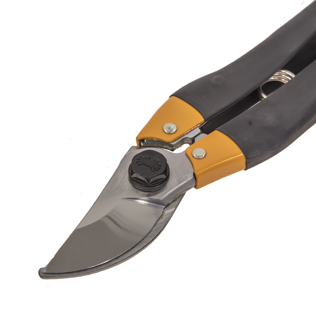  Nishigaki,   ,  .  260 , 20.