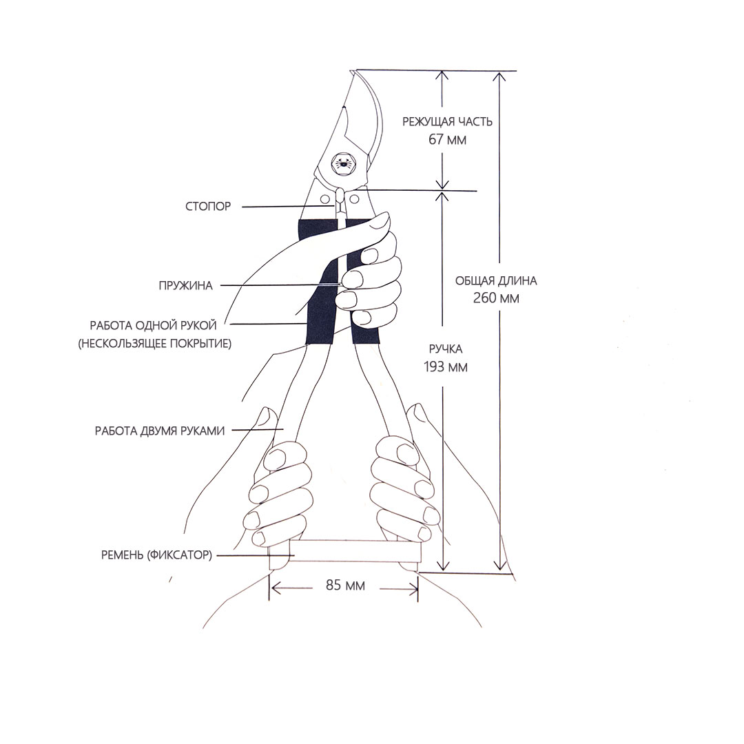  Nishigaki,   ,  .  260 , 20.