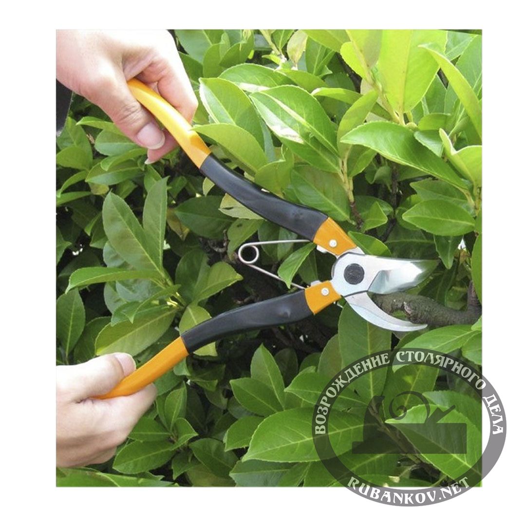  Nishigaki,   ,  .  260 , 20.