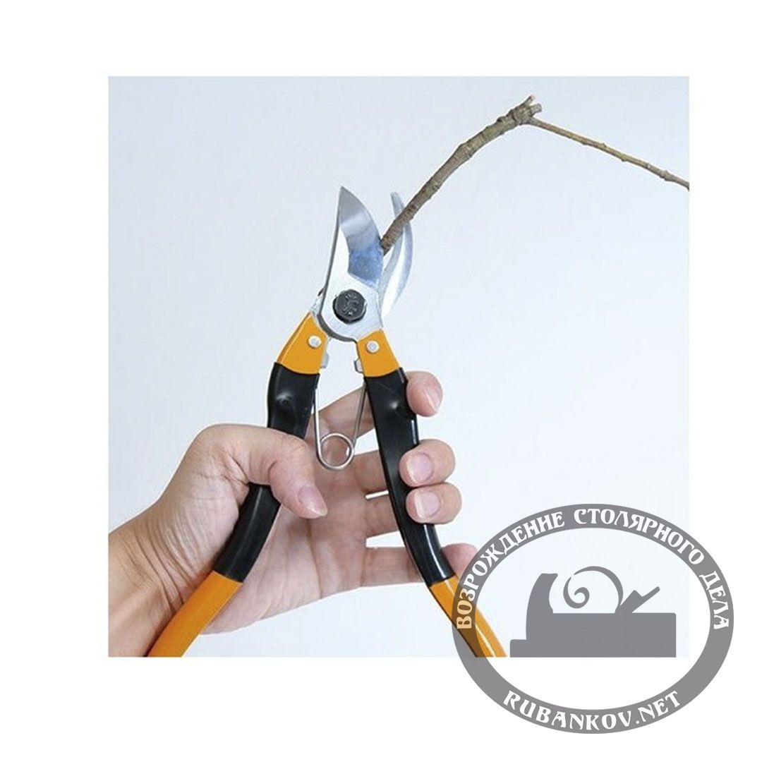  Nishigaki,   ,  .  260 , 20.