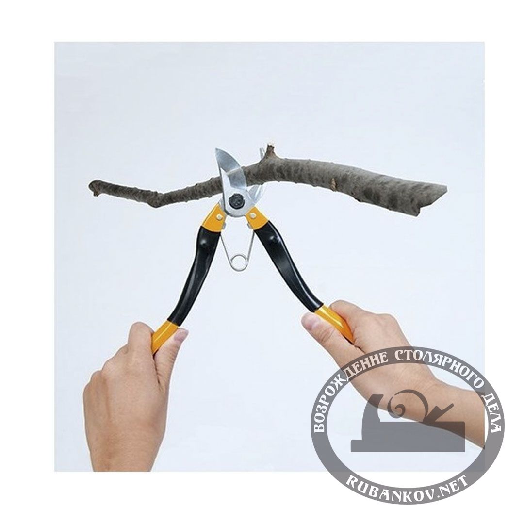  Nishigaki,   ,  .  300 , 25.