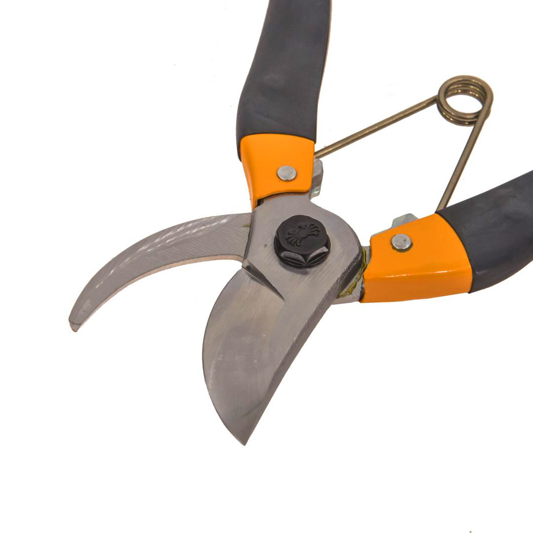  Nishigaki,   ,  .  300 , 25.