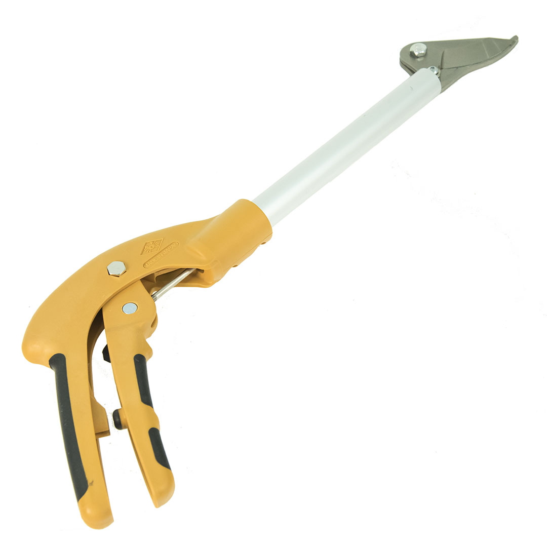  Nishigaki, c      15 