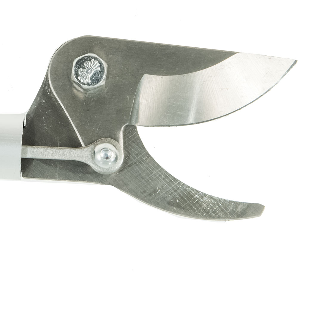  Nishigaki, c      15 