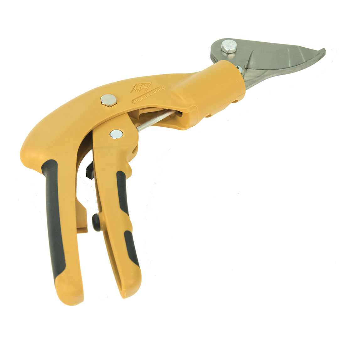  Nishigaki, c      15 