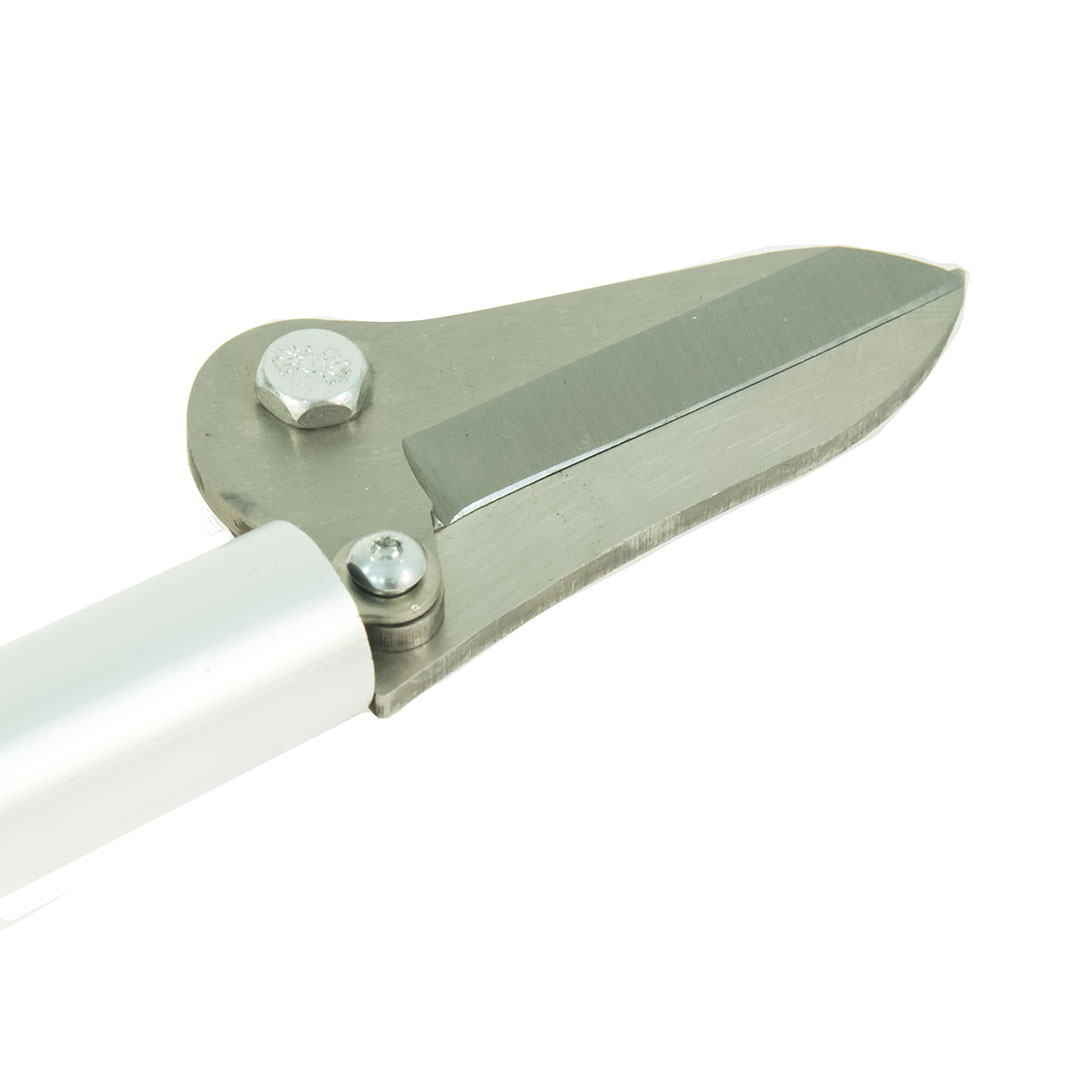  Nishigaki, c      10 