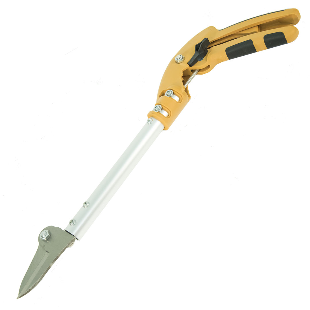  Nishigaki, c      10 