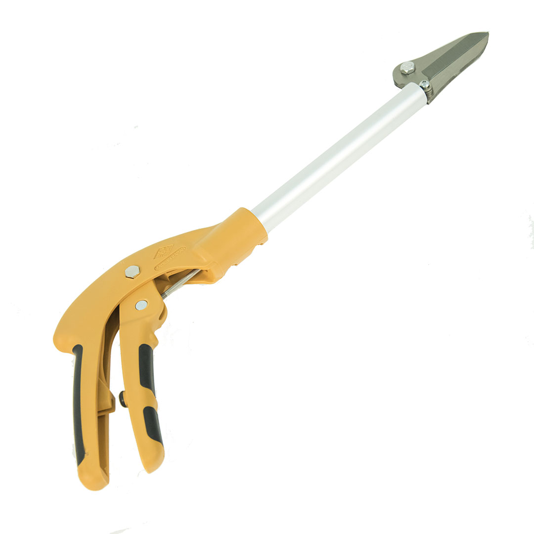  Nishigaki, c      10 