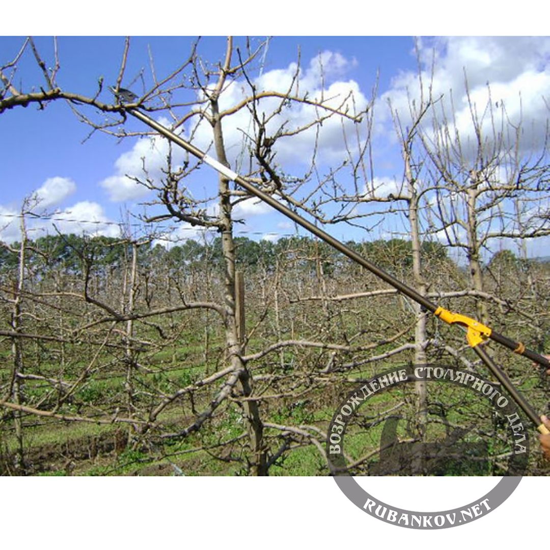 Кусторезы с поворотной головой, Nishigaki Кусторезы с поворотной головой, Nishigaki