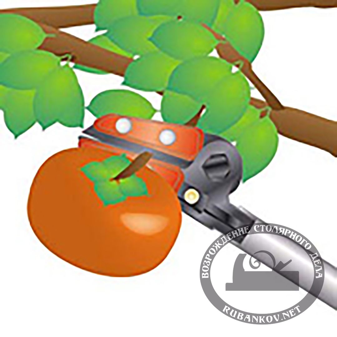  Nishigaki, . .   360 .  2.0 , 25.