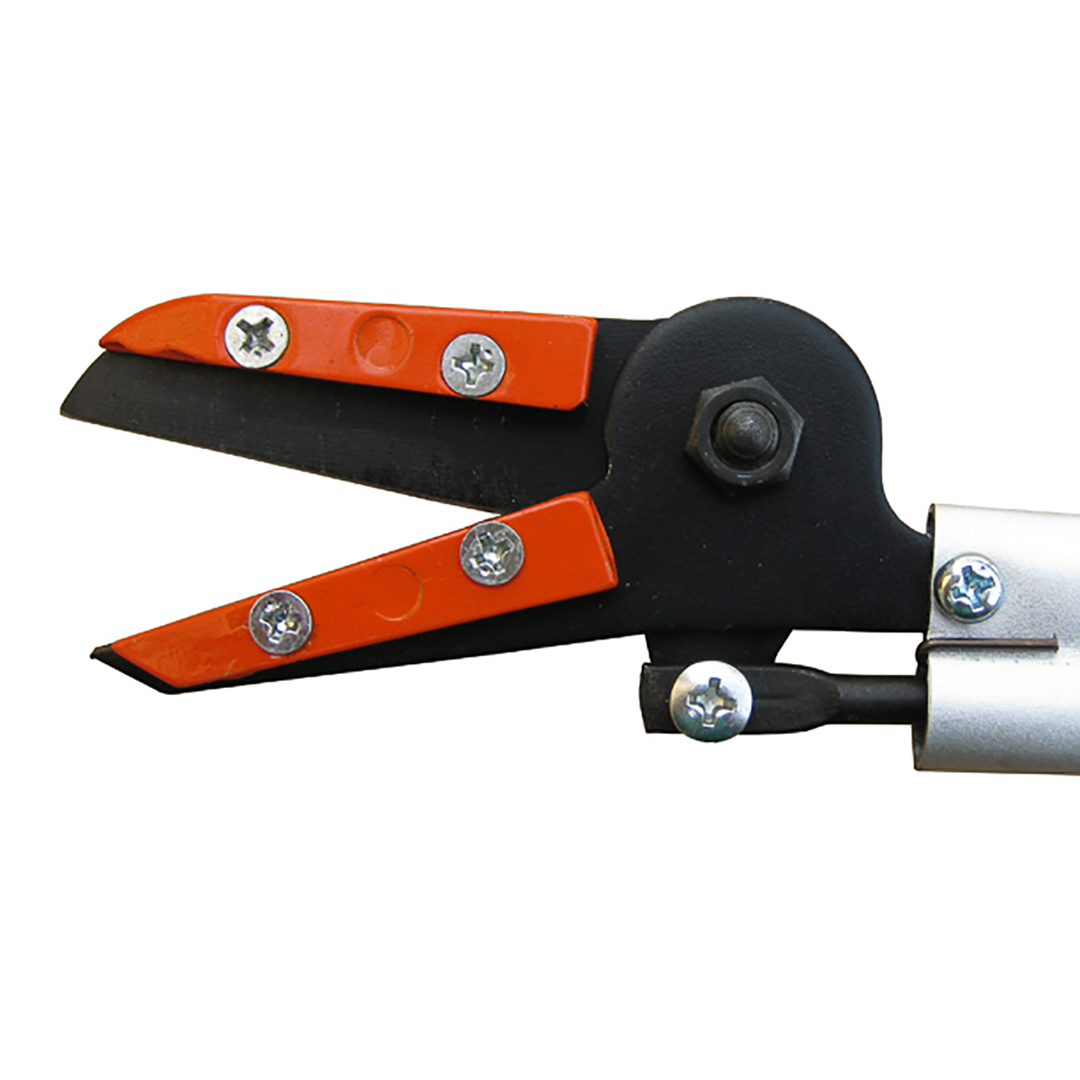  Nishigaki, . .   360 .  2.0 , 25.