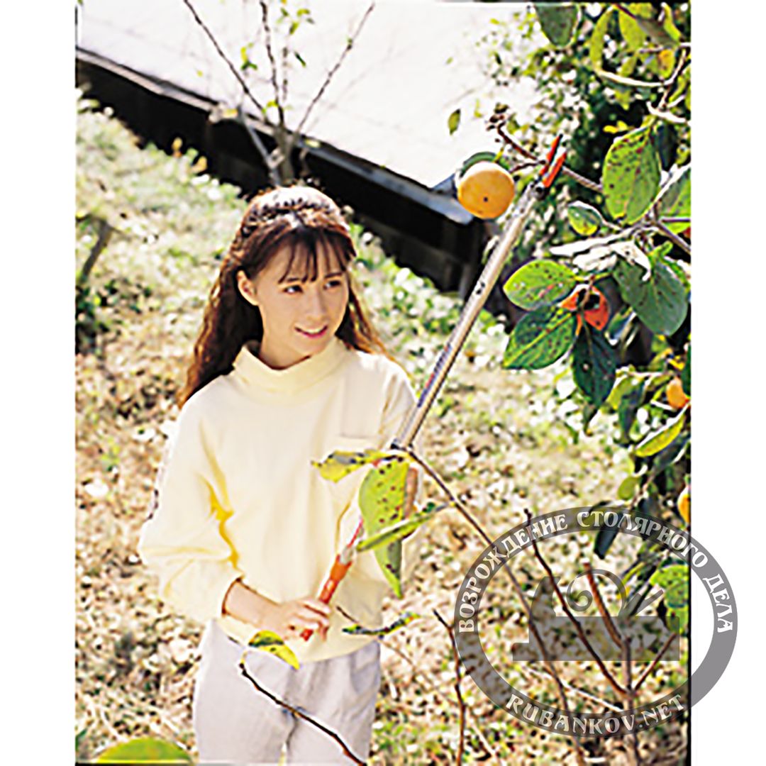  Nishigaki, . .   360 .  2.0 , 25.