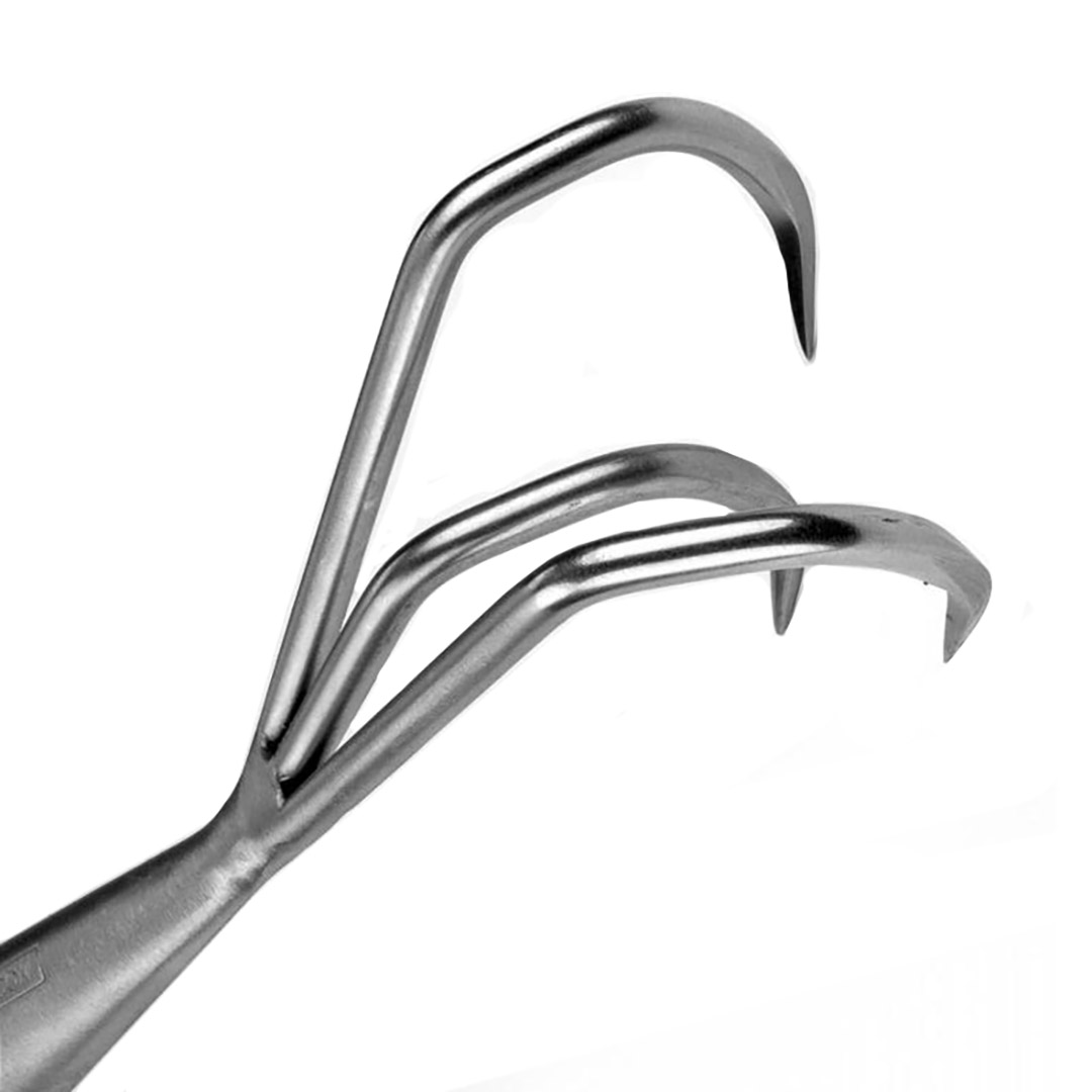 -  , Sneeboer, 80*120, .,  1.7 