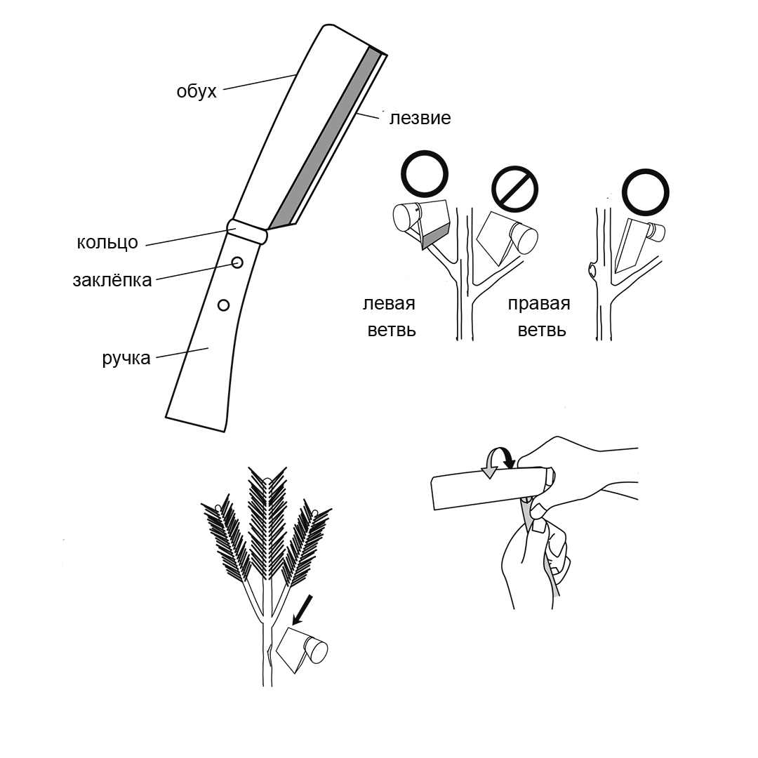  Igarashi Kataha Mini, 110 ,  245
