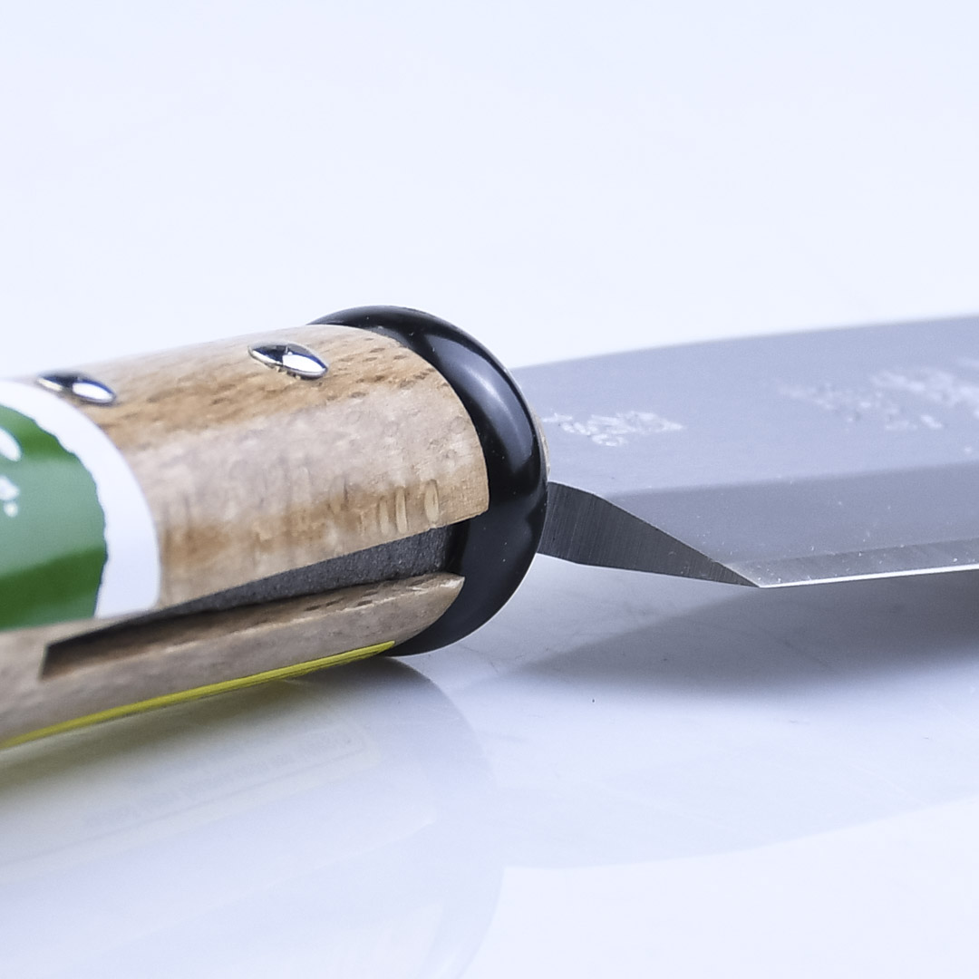  Igarashi Ryoha, 165 ,  355