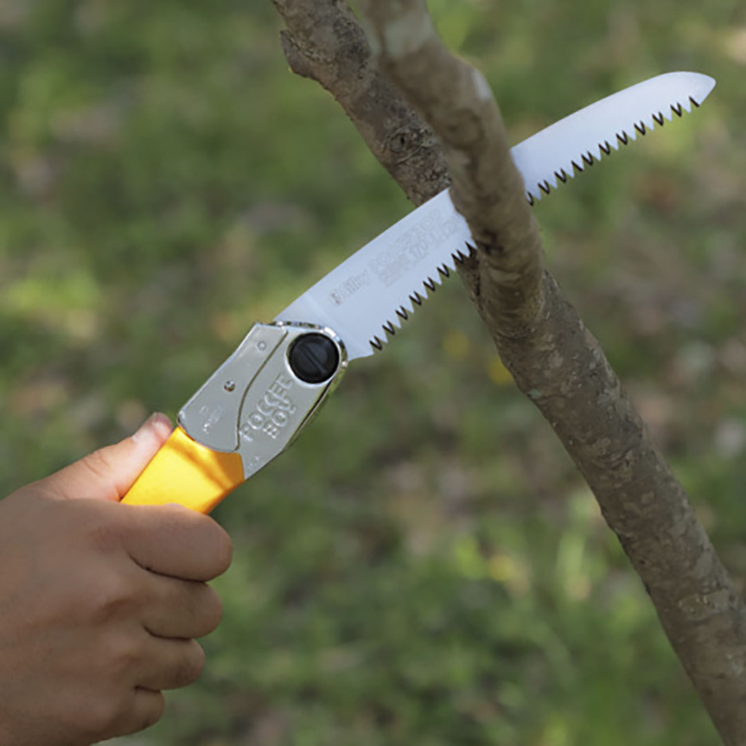  Silky Pocketboy Curve, 