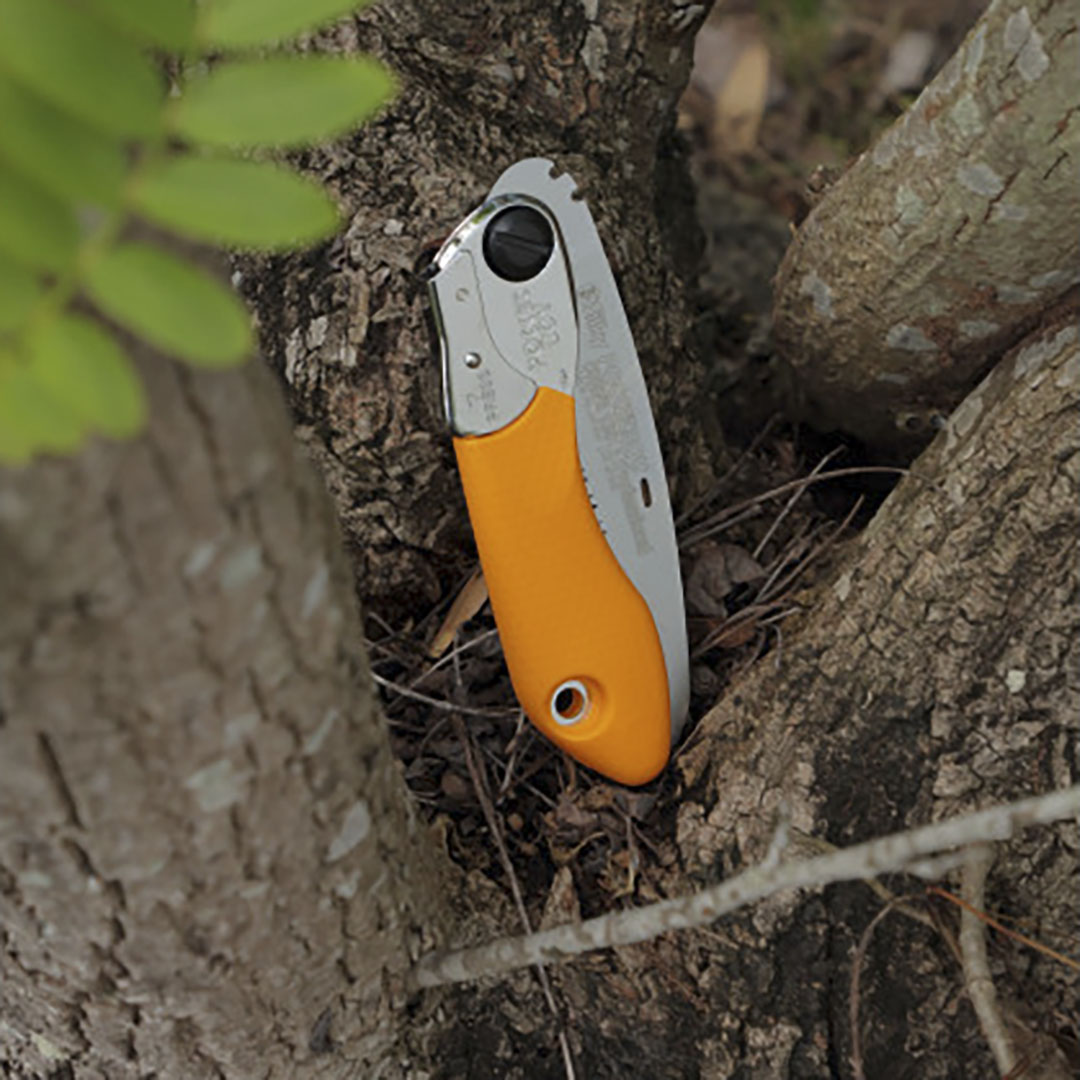  Silky Pocketboy Curve, 