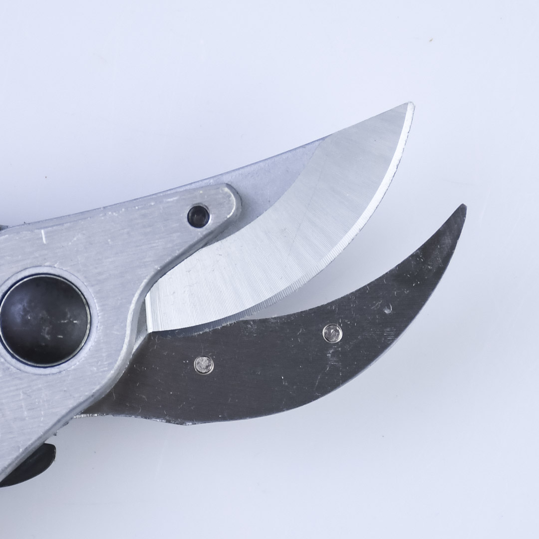  , Shogun-355, , 55/210 