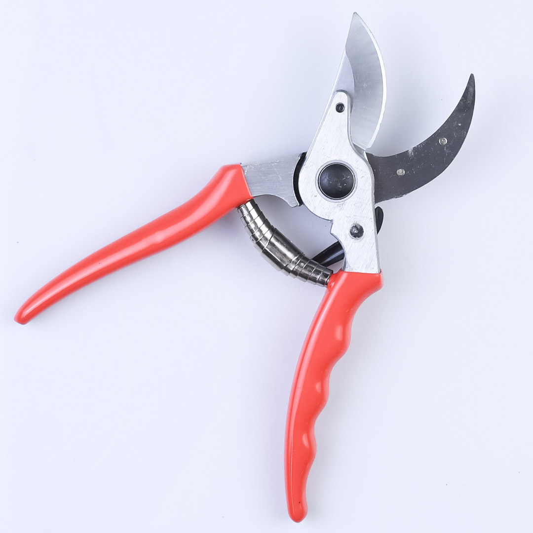  , Shogun-355, , 55/210 