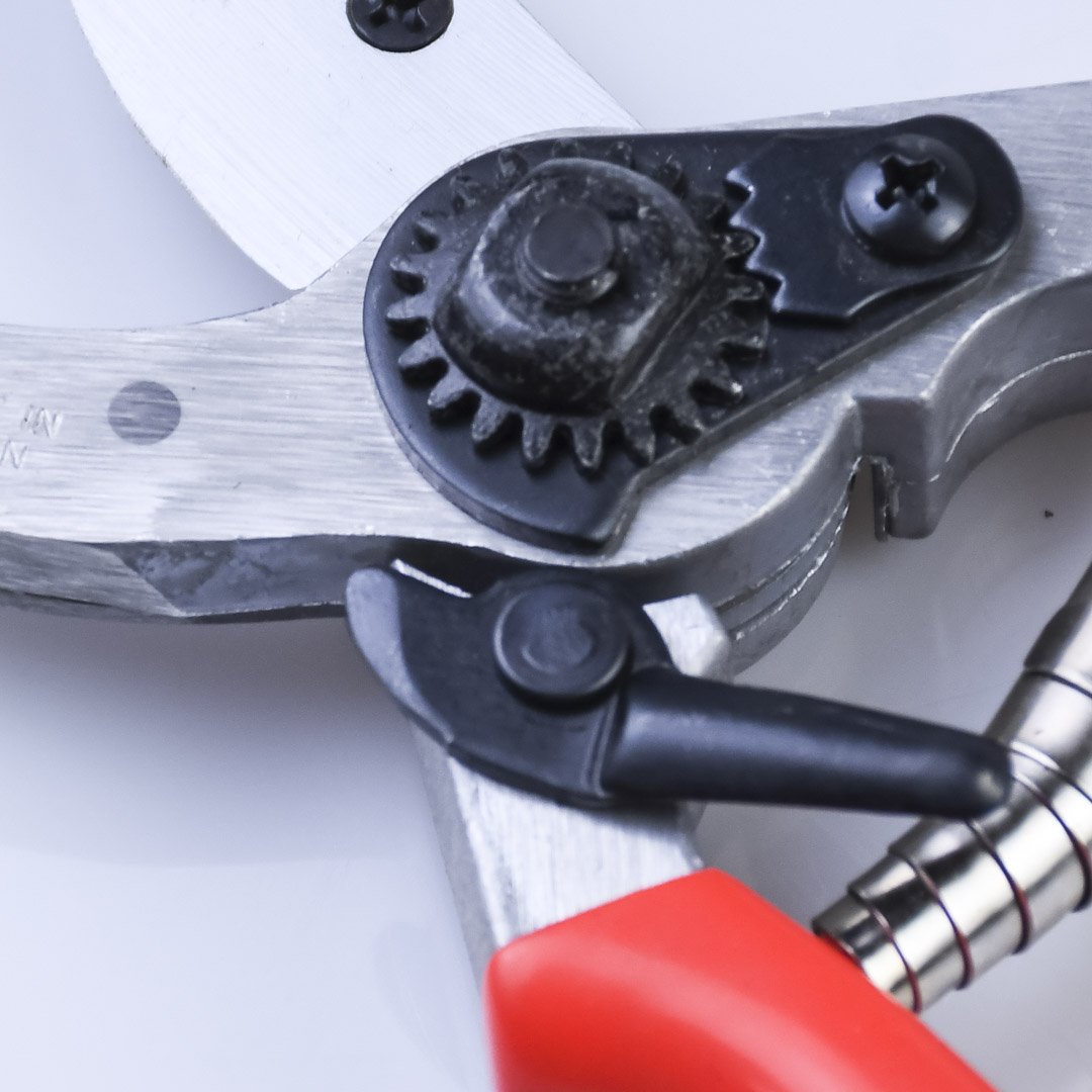  , Shogun-355, , 55/210 