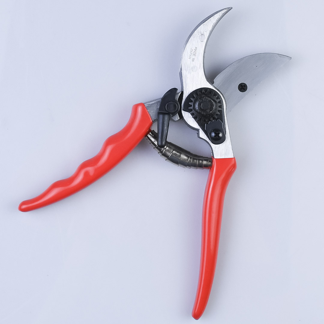  , Shogun-355, , 55/210 