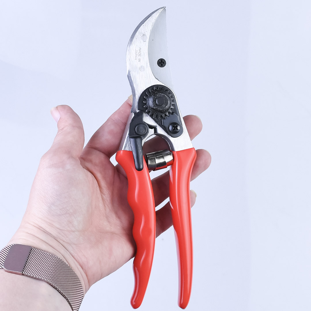  , Shogun-355, , 55/210 