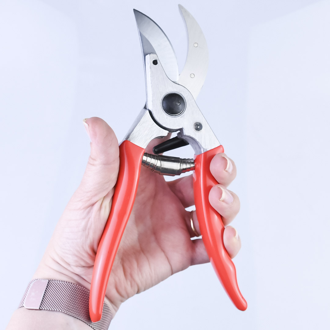  , Shogun-355, , 55/210 