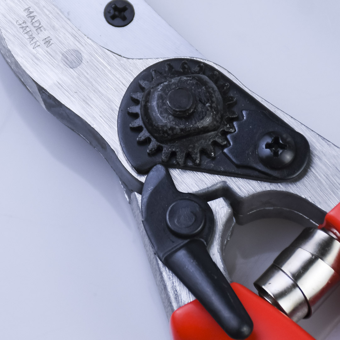  , Shogun-355, , 55/210 