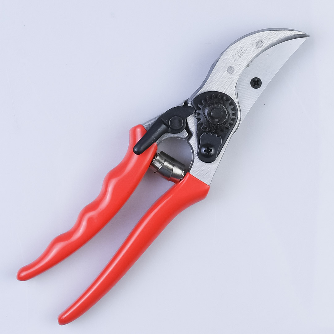  , Shogun-355, , 55/210 