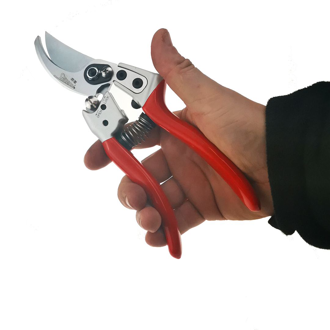  , Shogun-888, 55/210 